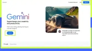 Visit the Gemini Website